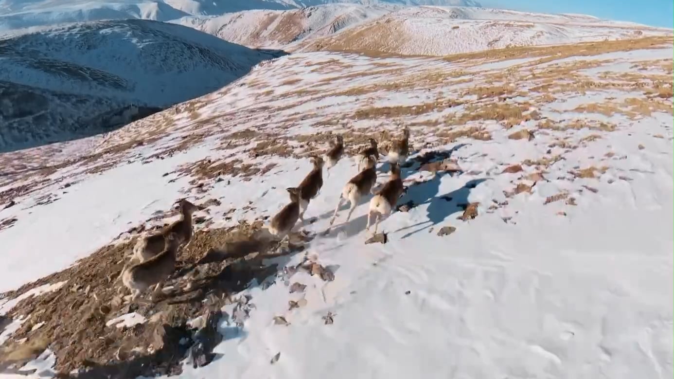 DJI Avata 360
